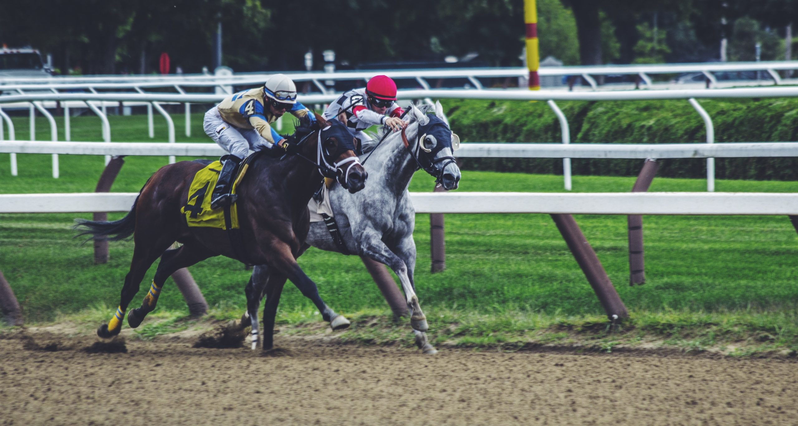 florida betting horses