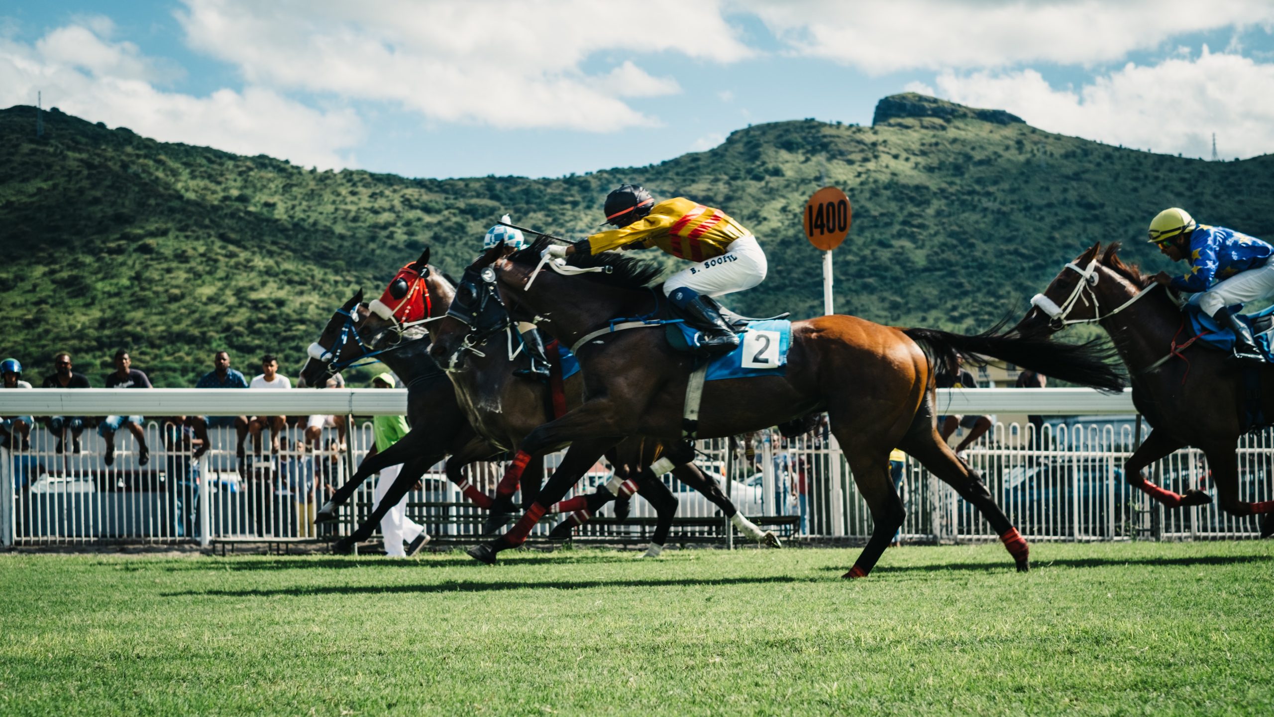 Football vs. Horse Racing Betting: Understanding the Key Differences